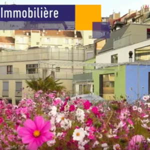 La minute immobilière sur la gérance