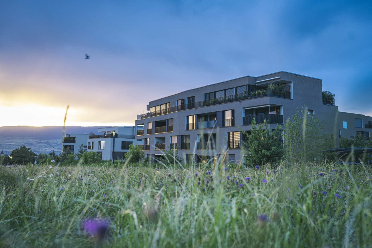 20220712-007-MRG-Photos-Les-Portes-du-Lac-008