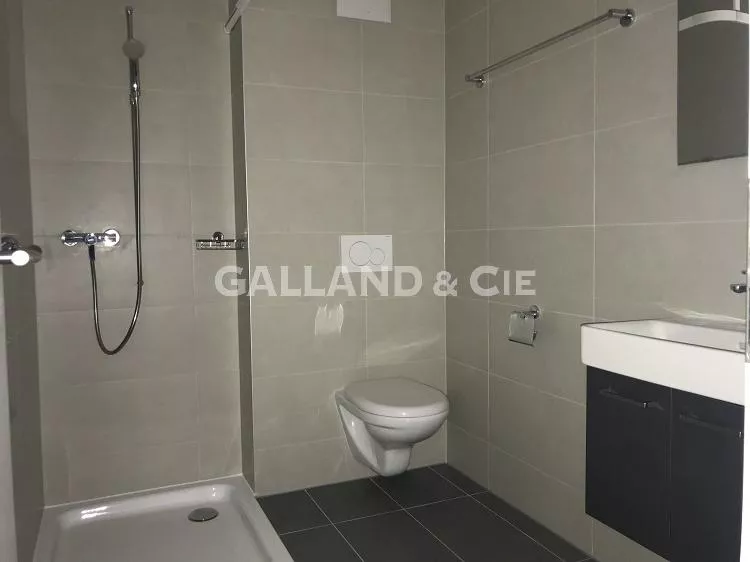 Chevilly - Spacieux 4,5 pièces sous les toits, charme et tranquillité : Photo 3