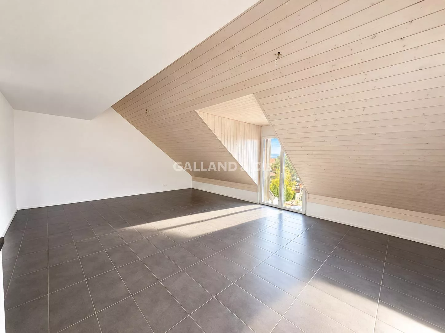 Spacieux 4,5 pièces sous les toits, charme et tranquillité : Photo 3