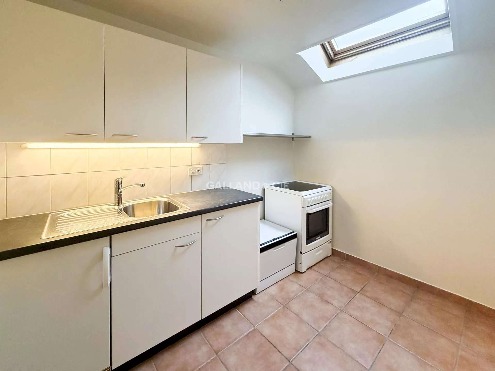 Magnifique loft au centre de Pully en attique : Photo 3