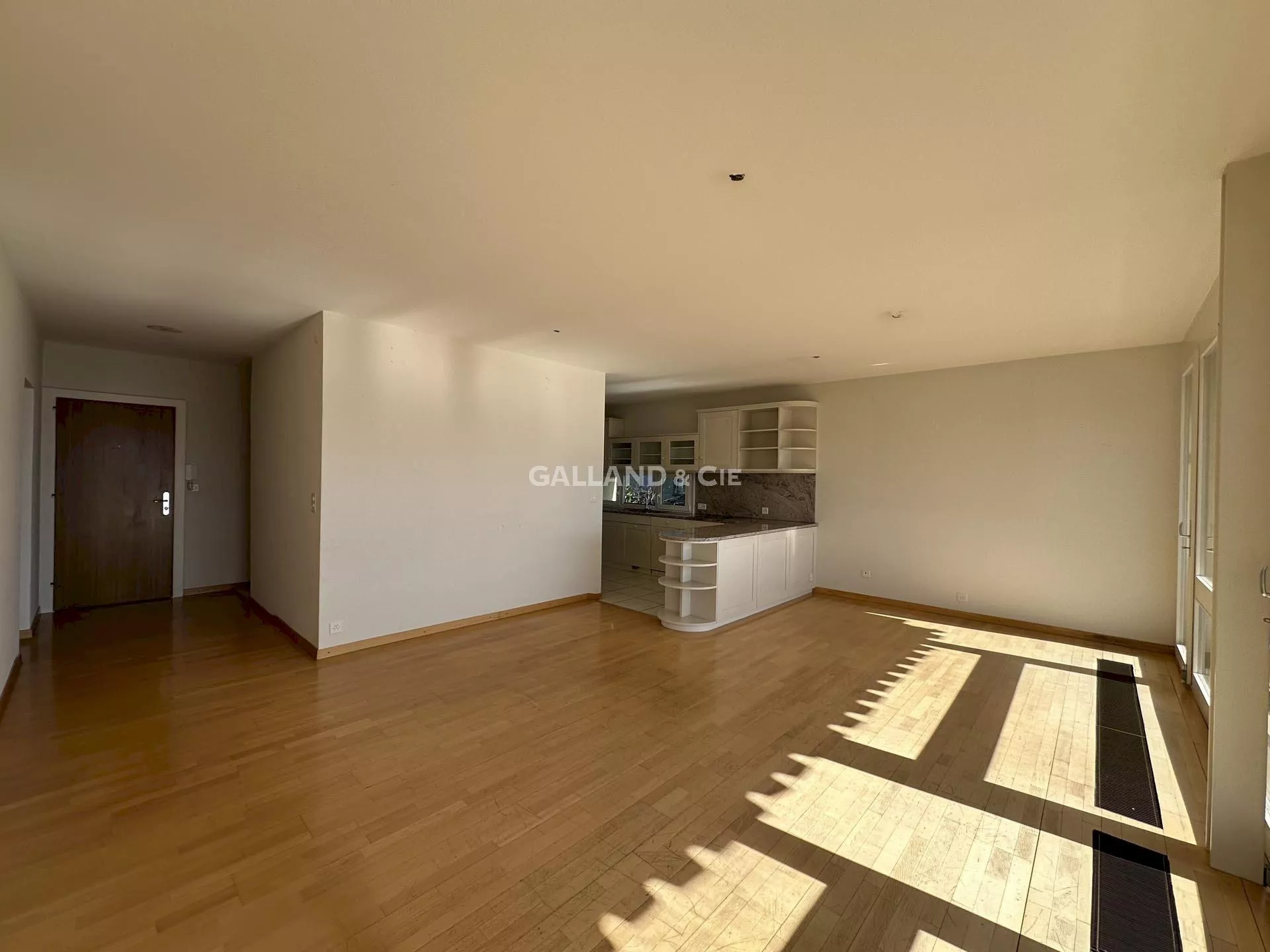 1 lot de PPE: logement principal de 6.5 pces libre et un 3.5 pces loué : Photo 12