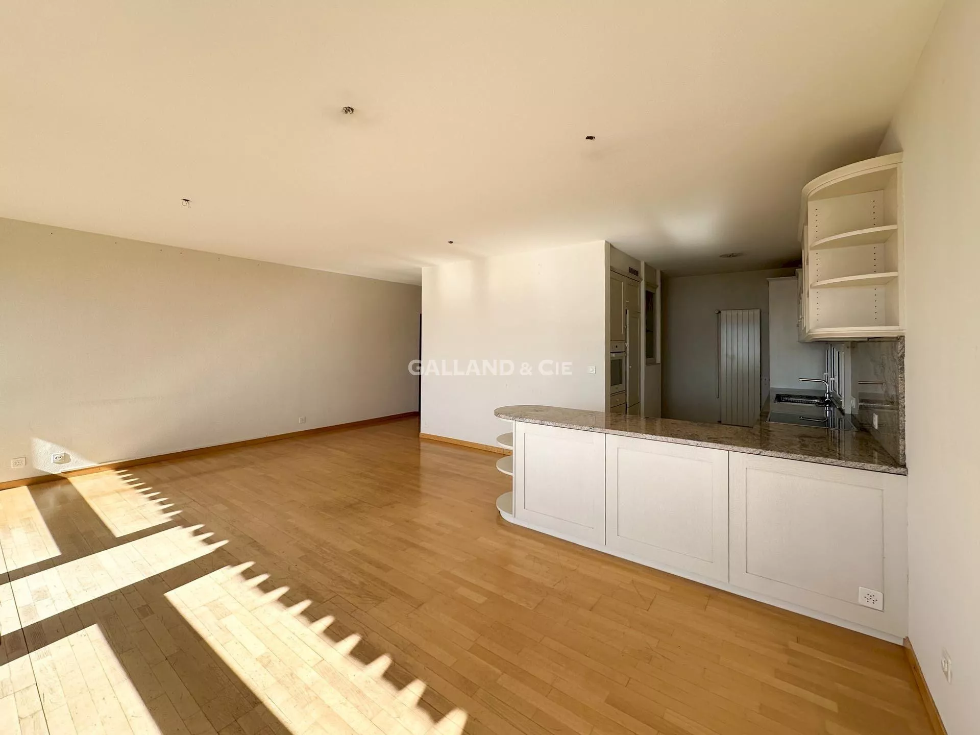 1 lot de PPE: logement principal de 6.5 pces libre et un 3.5 pces loué : Photo 15