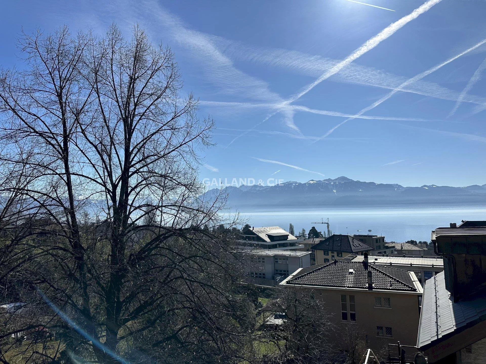 1 lot de PPE: logement principal de 6.5 pces libre et un 3.5 pces loué : Photo 4