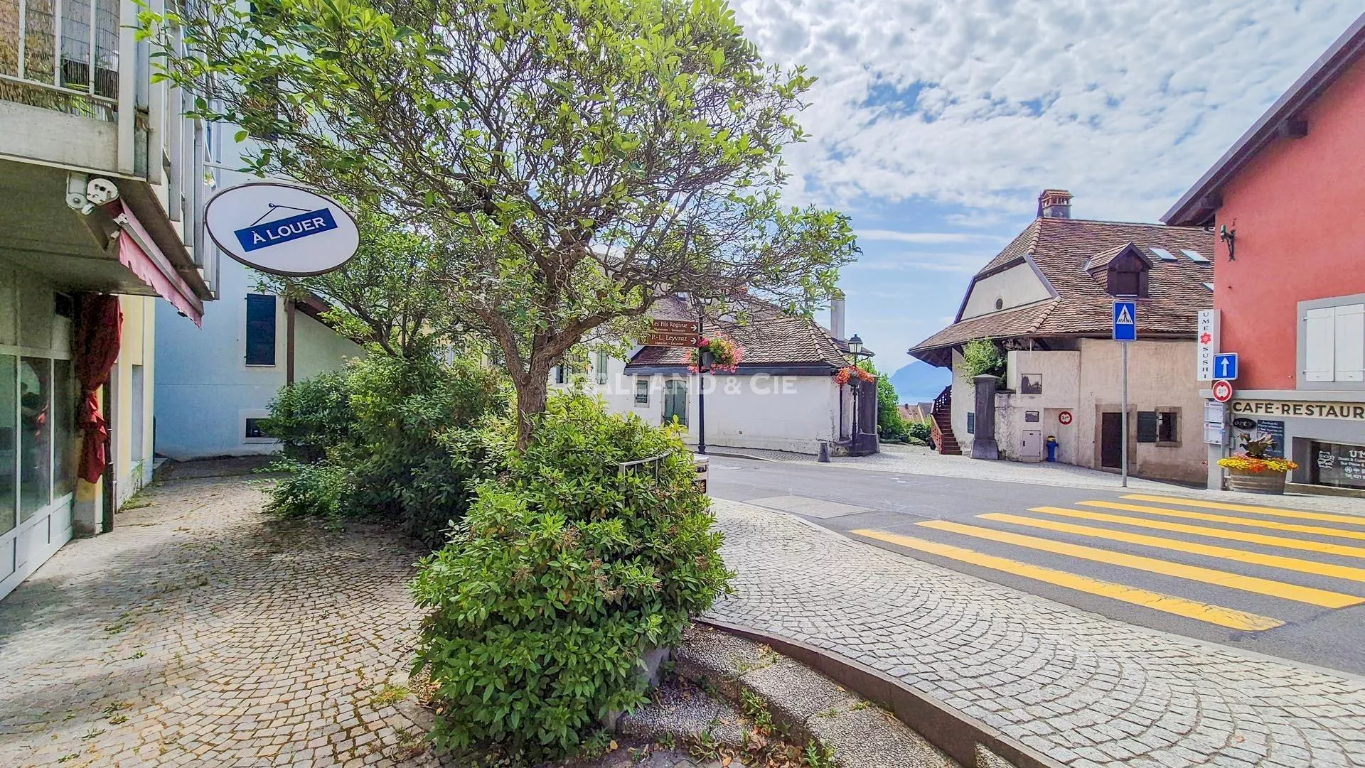 Surface commerciale au rez-de-chaussée de 150 m2 ! : Photo 3