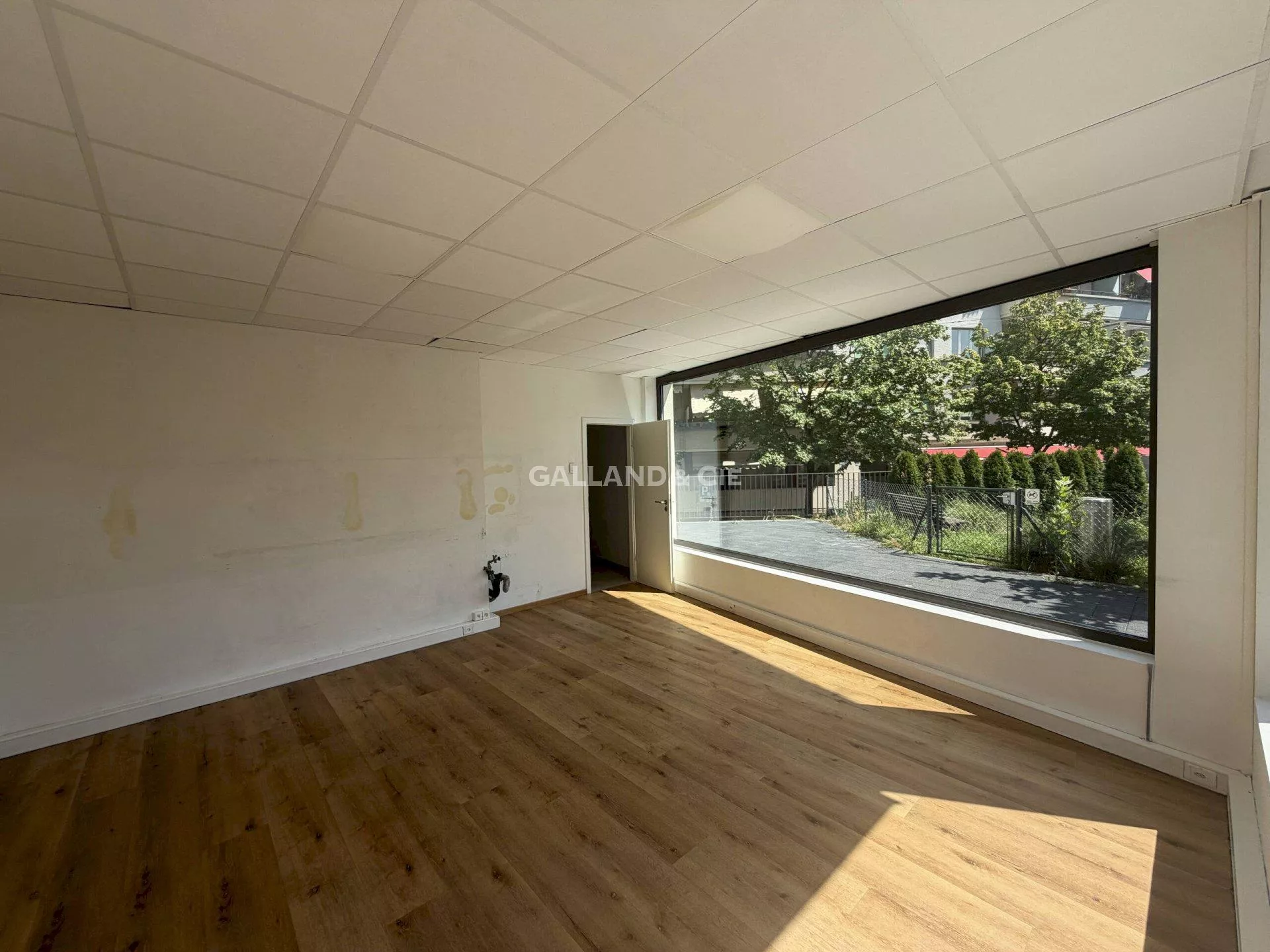 Belle surface commerciale avec vitrine et terrasse : Photo 3