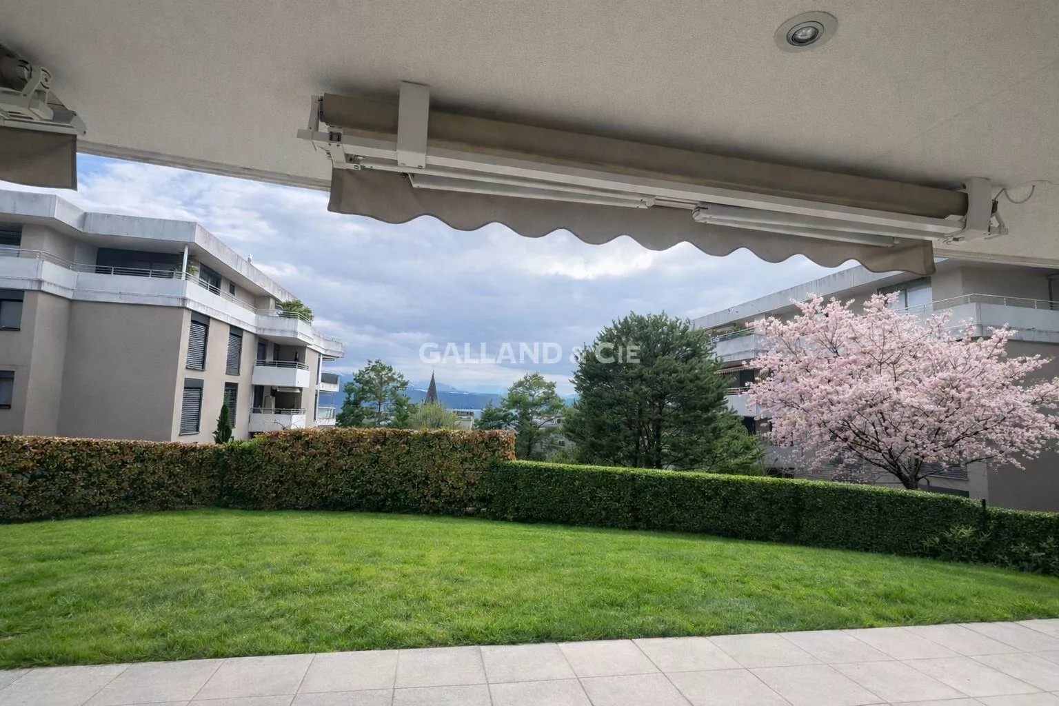 Magnifique 5,5 pièces avec jardin et terrasse à Pully : Photo 2