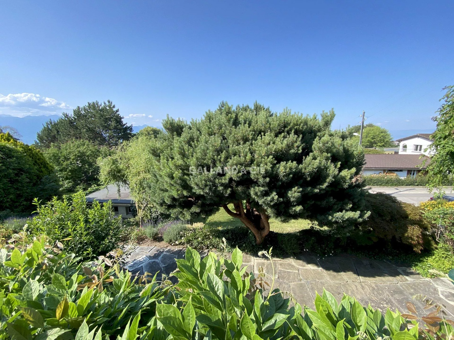 Superbe maison individuelle de 6.5 pièces avec studio indépendant : Photo 13