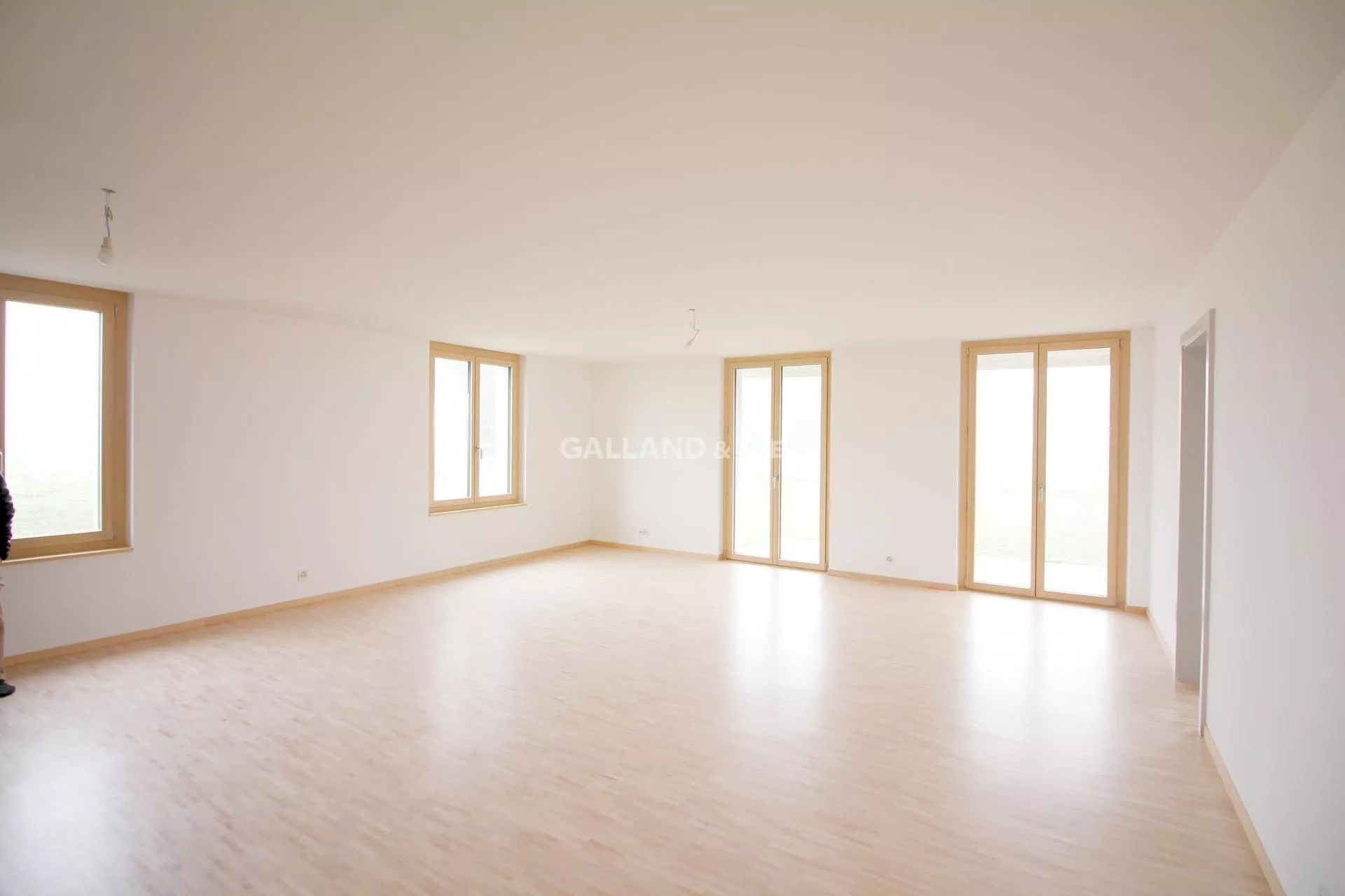 Magnifique appartement de 3½ pièces avec terrasse et jardin : Photo 3