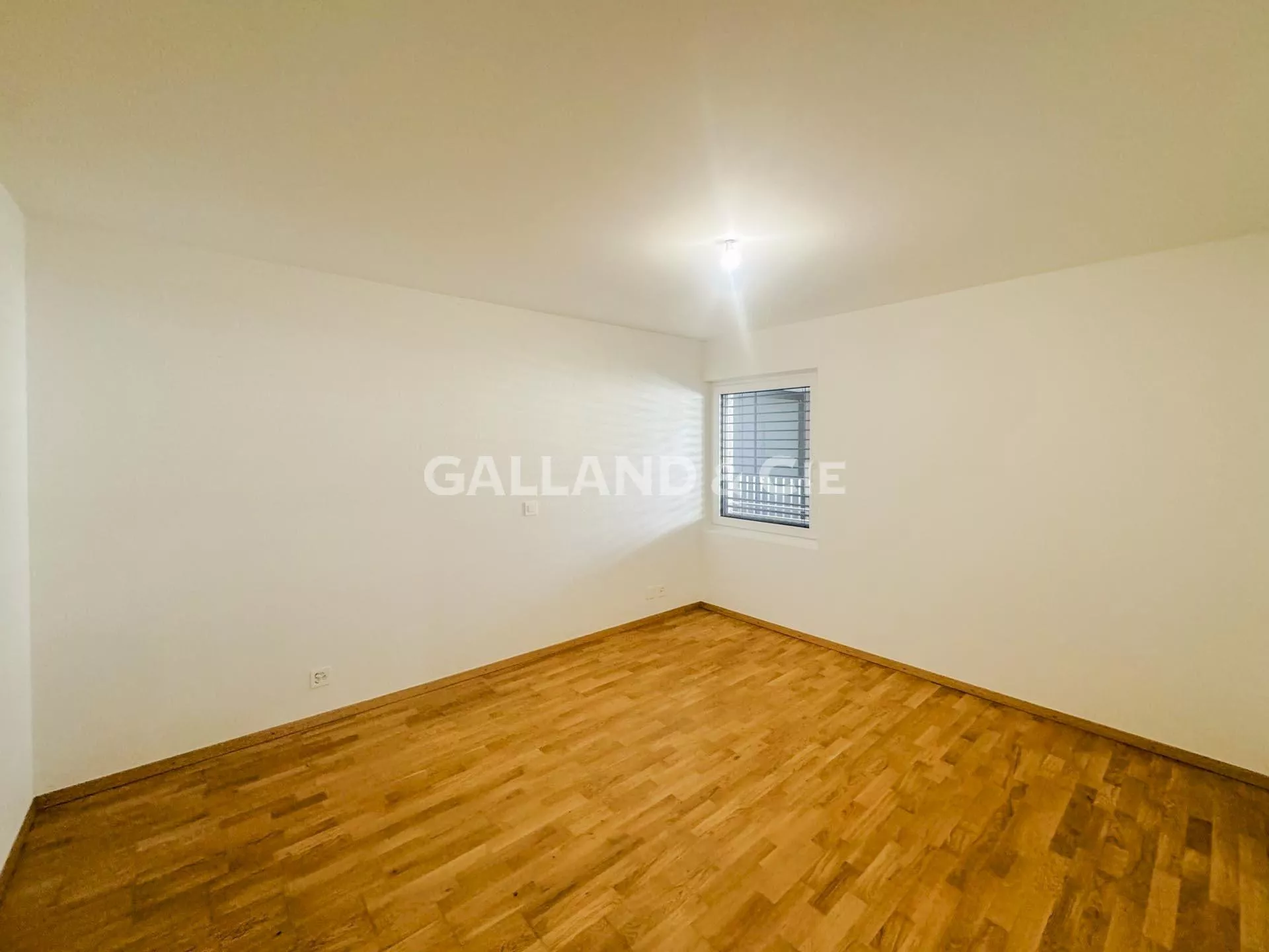 Coup de coeur pour le Valais ? Ce logement n'attend plus que vous. : Photo 6