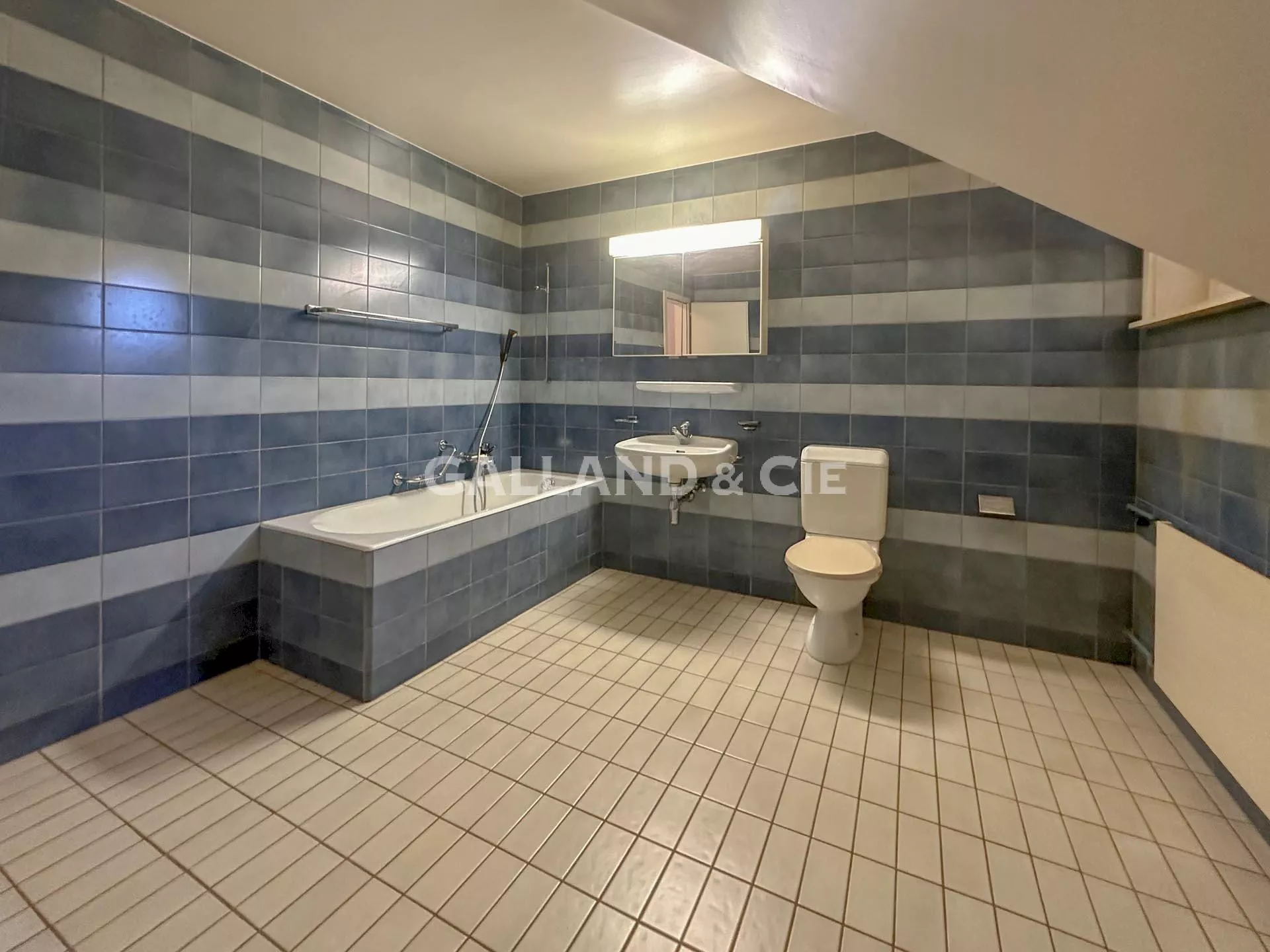 Villa individuelle de 9.5 pièces : Photo 13