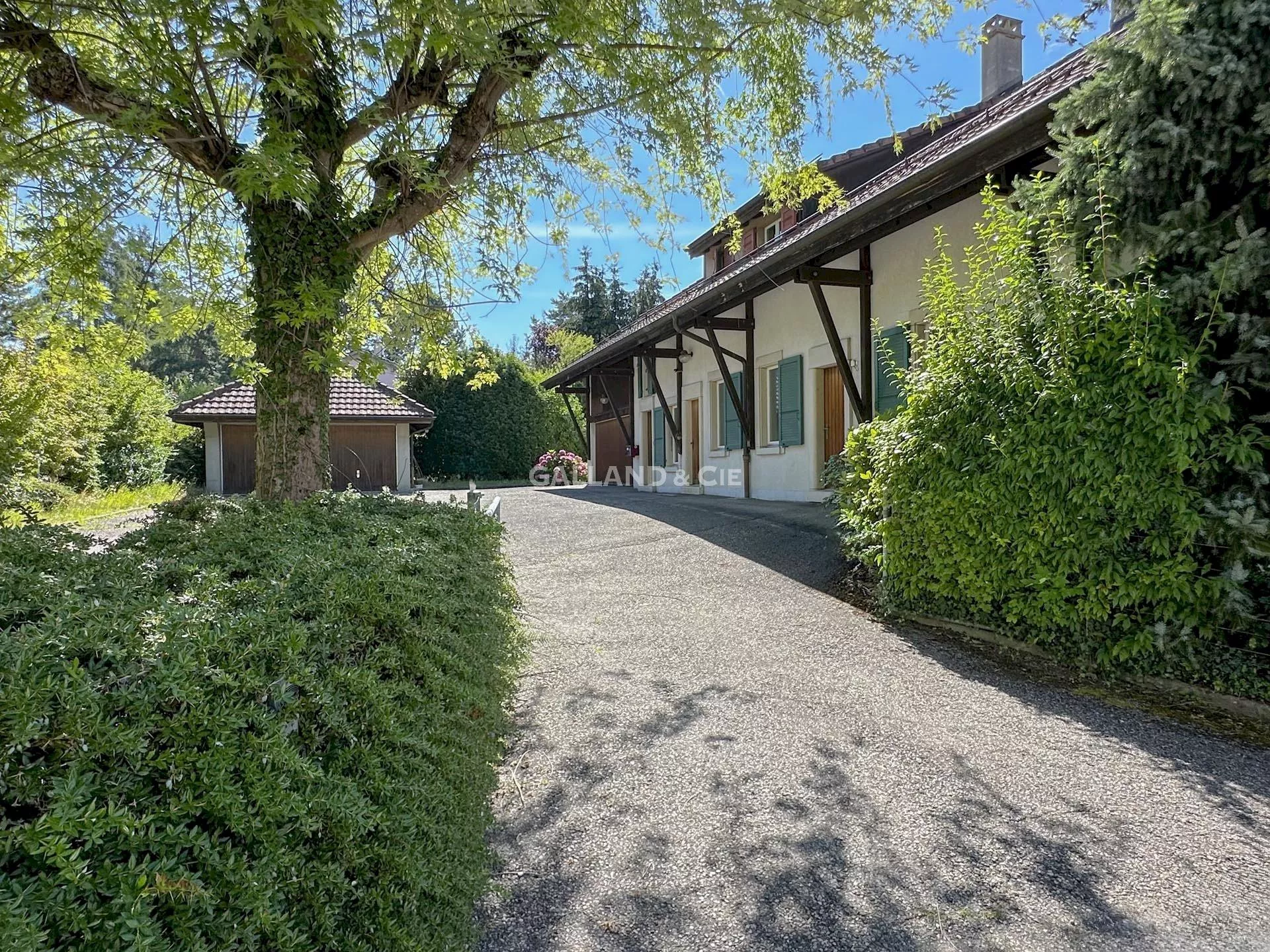 Villa individuelle de 9.5 pièces : Photo 19