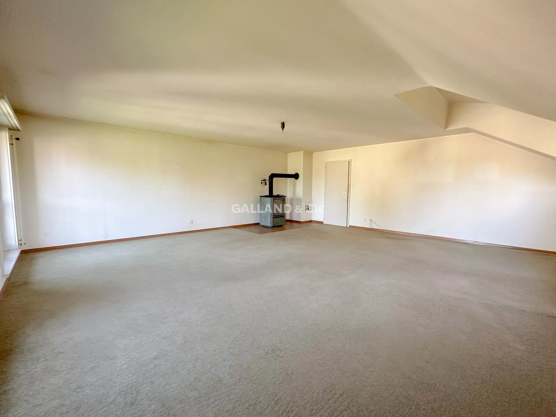 Villa individuelle de 9.5 pièces : Photo 8