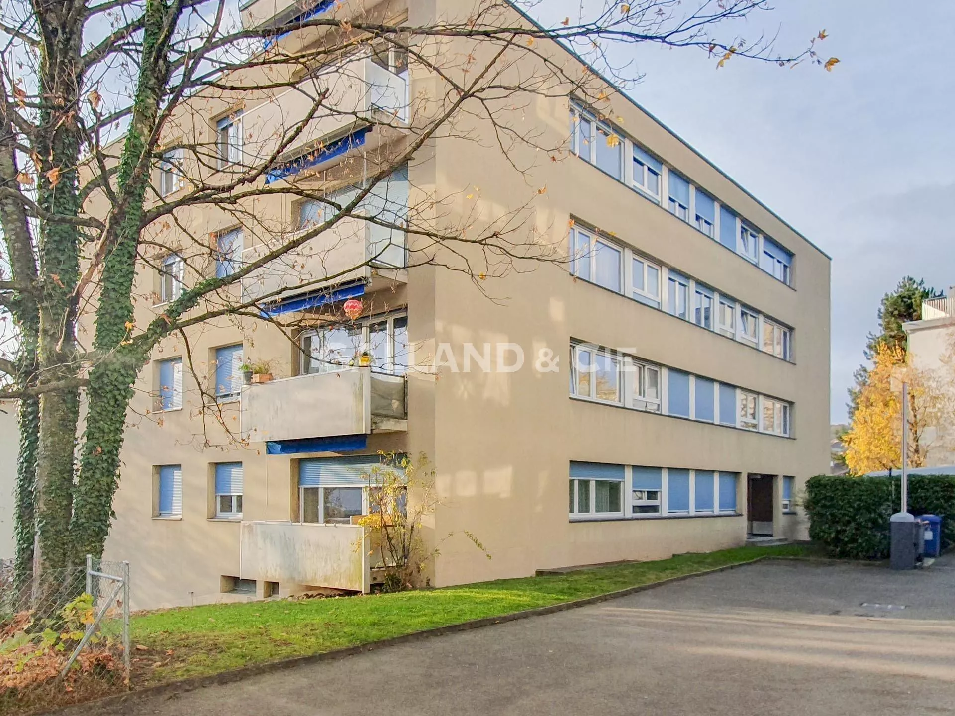 Profitez du parc de la Gottettaz à deux pas de chez vous ! : Photo 6