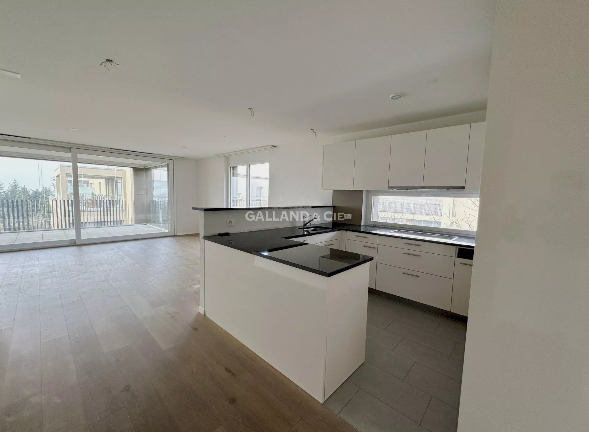 Superbe 3.5 pièces avec spacieuse loggia : Photo 1