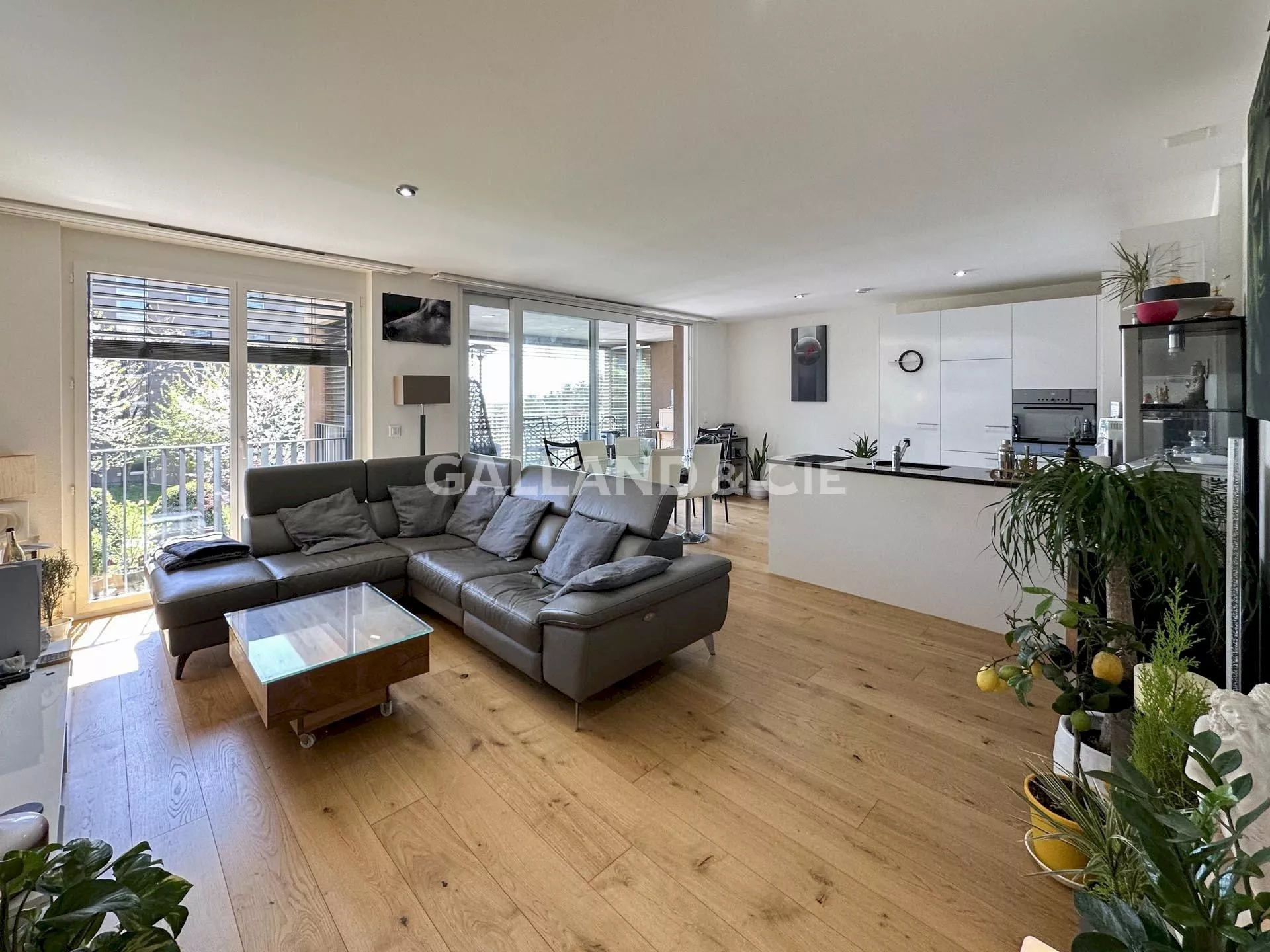 3.5 pièces d'~ 82 m² : Photo 1
