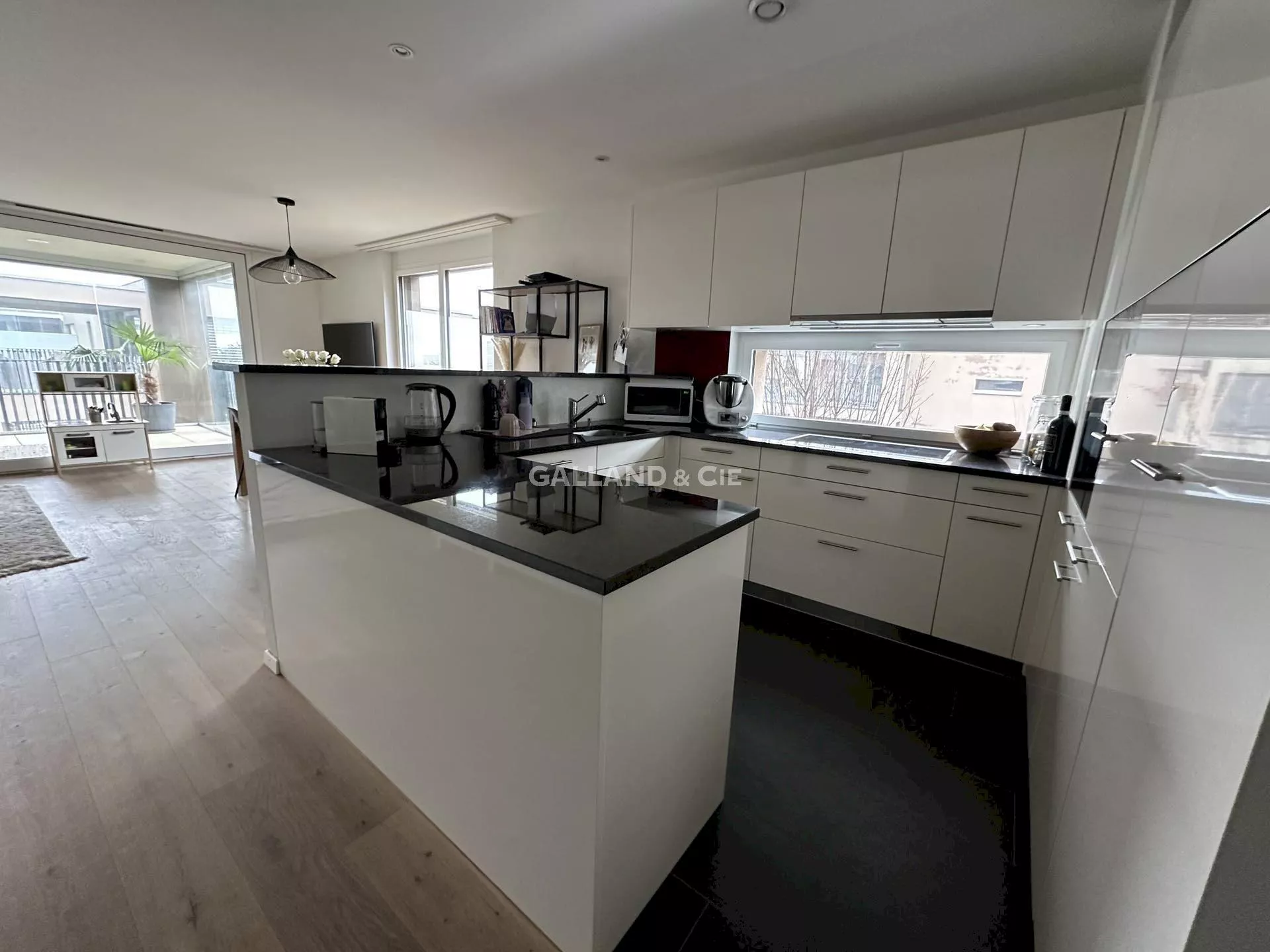 3.5 pièces avec grande terrasse-loggia : Photo 3