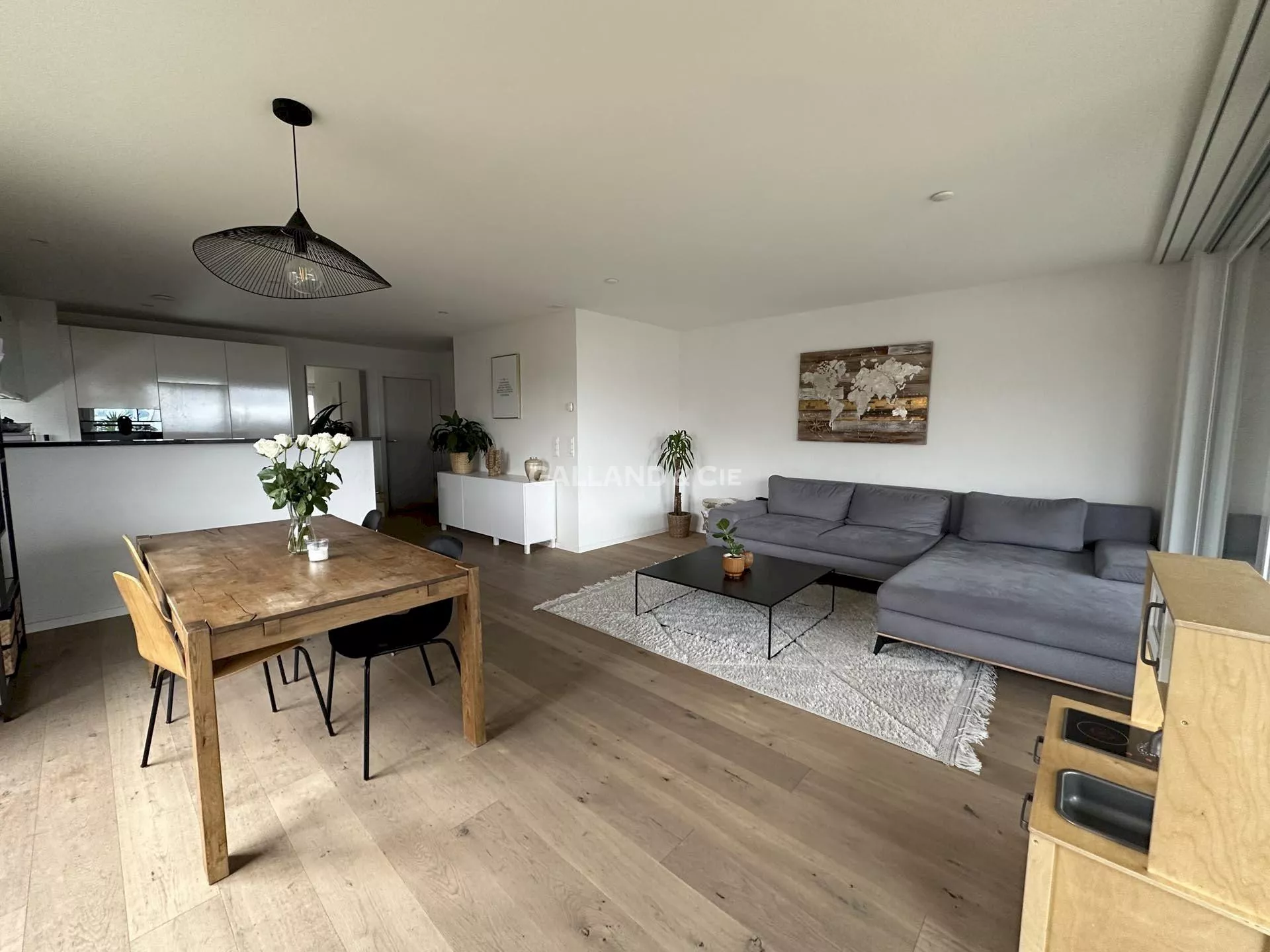 3.5 pièces avec grande terrasse-loggia : Photo 4