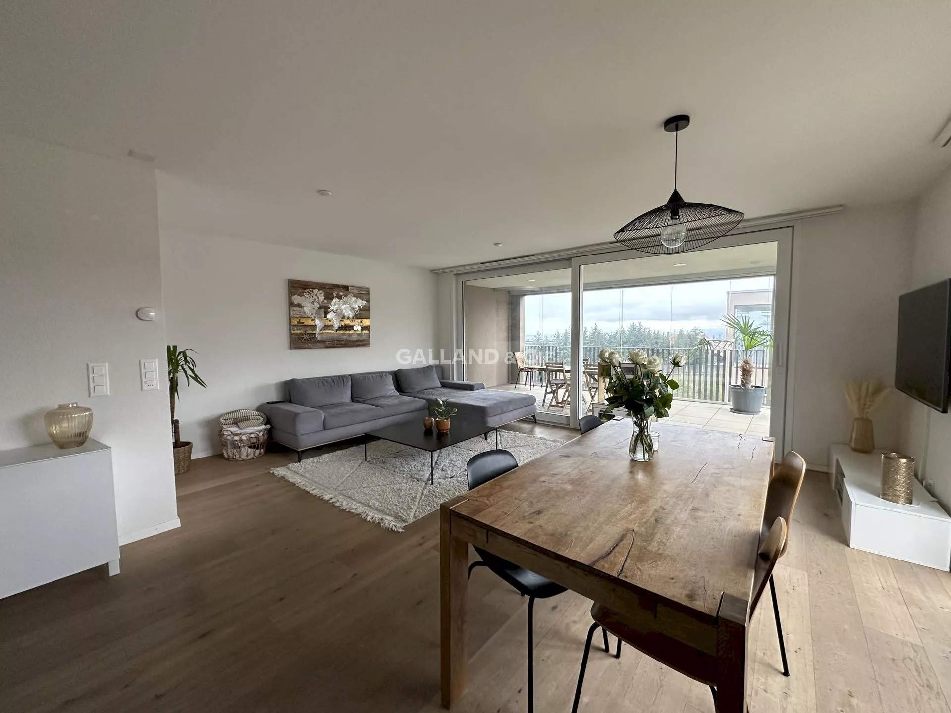 3.5 pièces avec grande terrasse-loggia : Photo 1