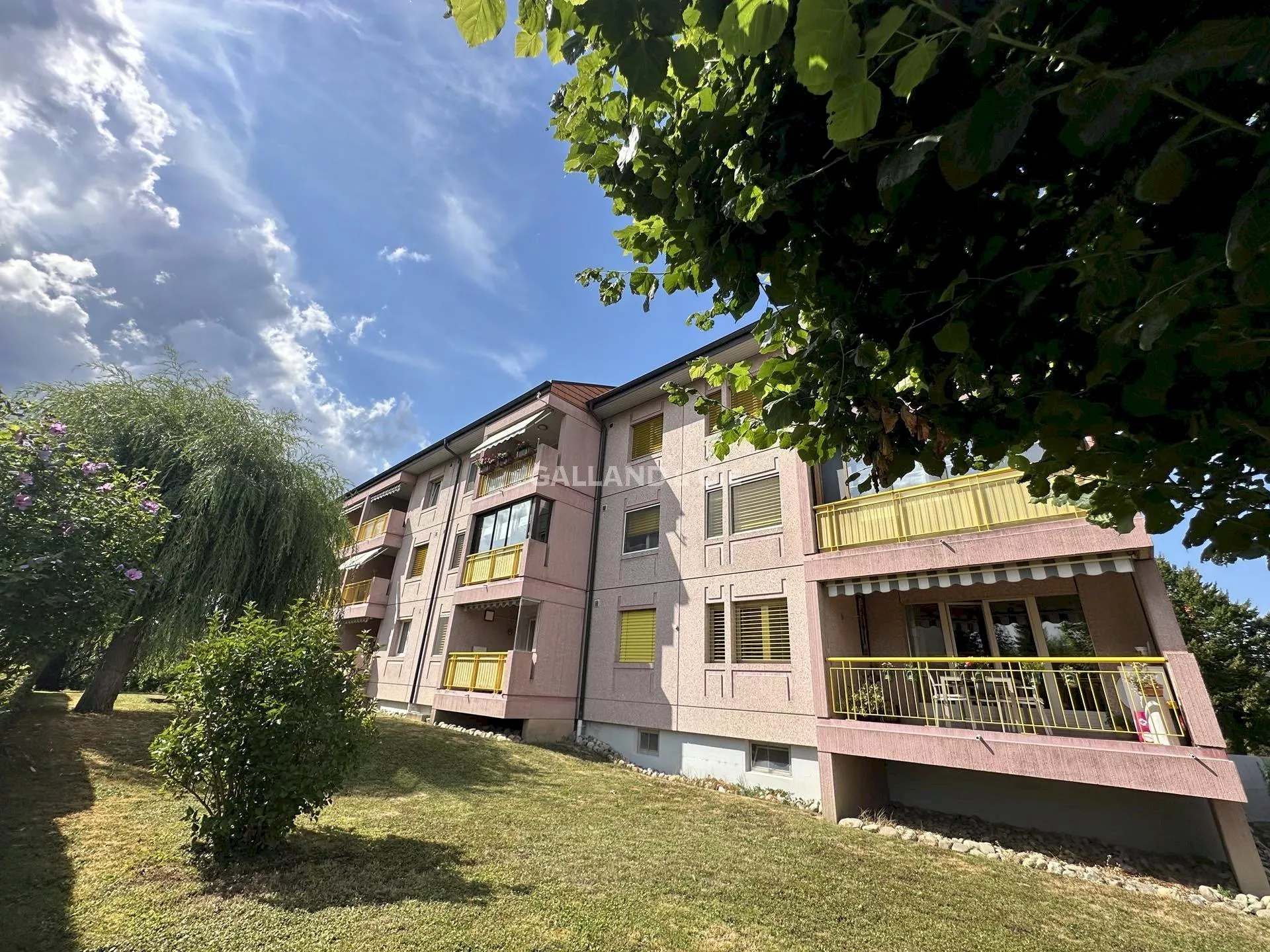 Lumineux 4.5 pièces : Photo 1