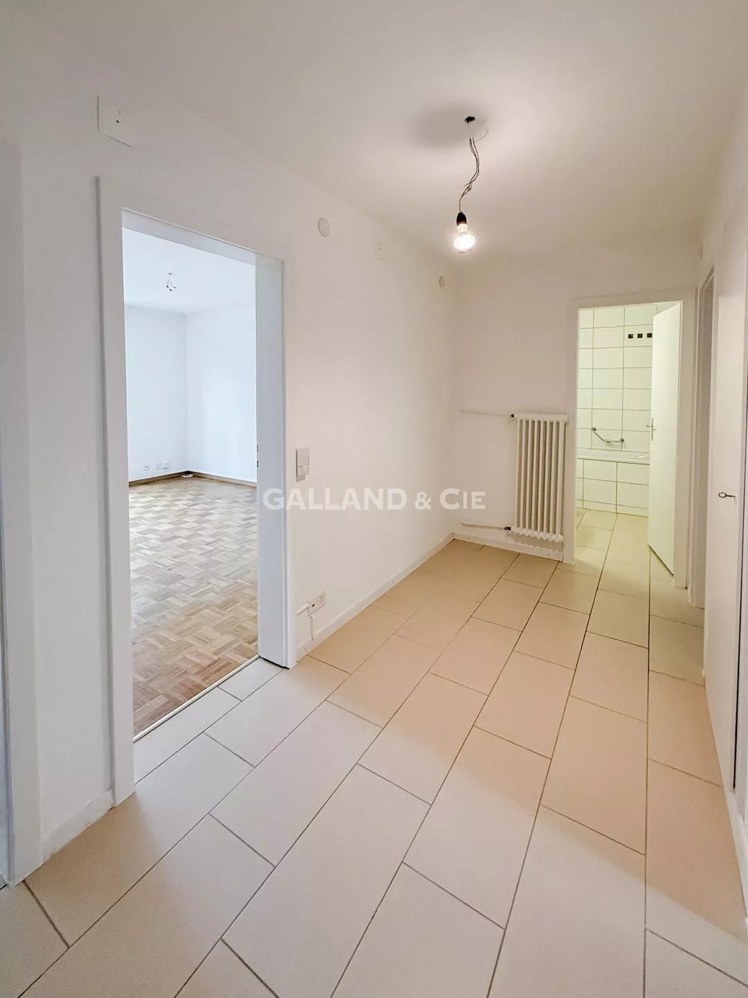 Adresse de choix au centre d'Yverdon-les-Bains : Photo 4