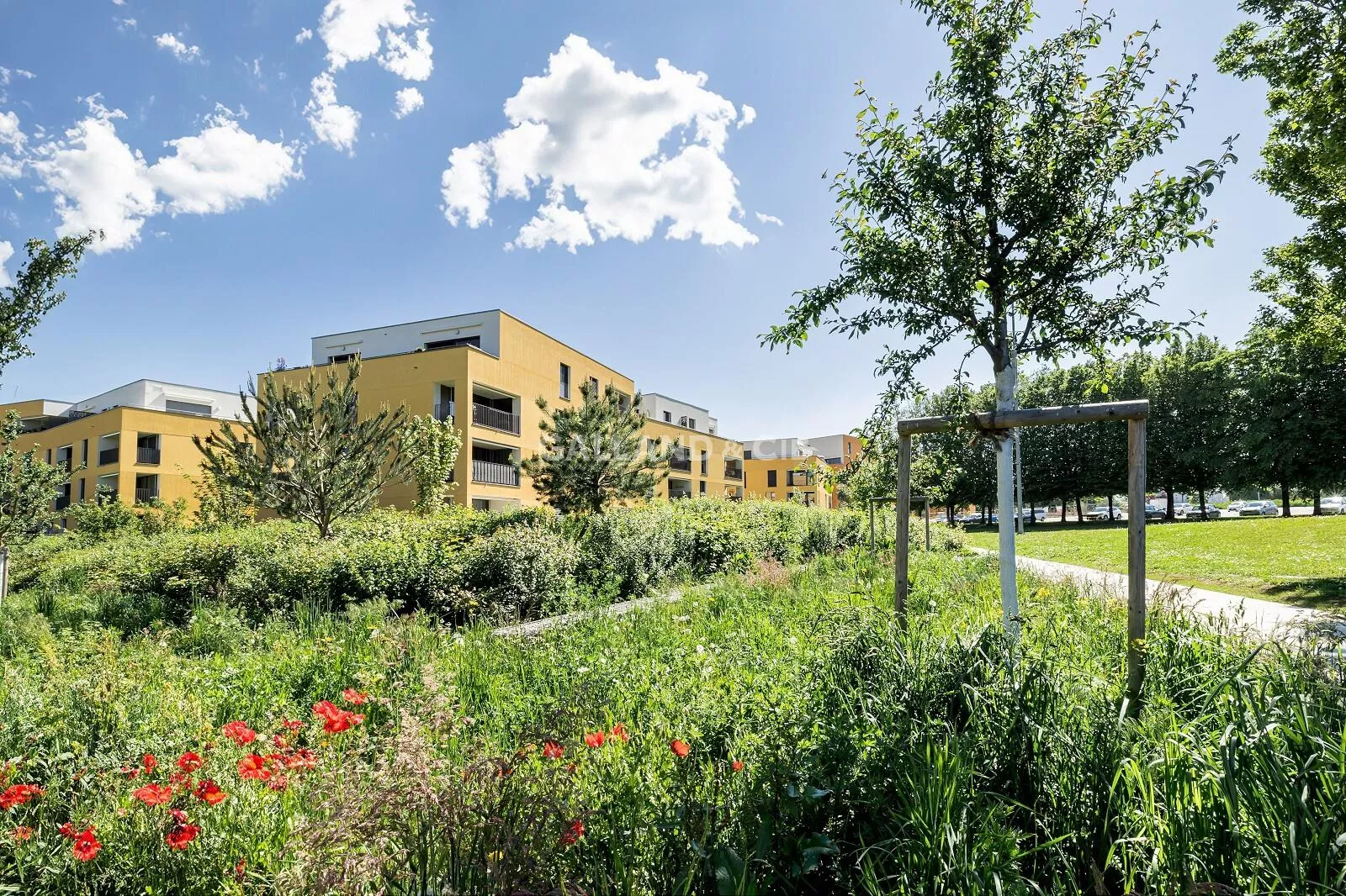 Charmant appartement à Estavayer-le-Lac au coeur d'un écoquartier : Photo 1