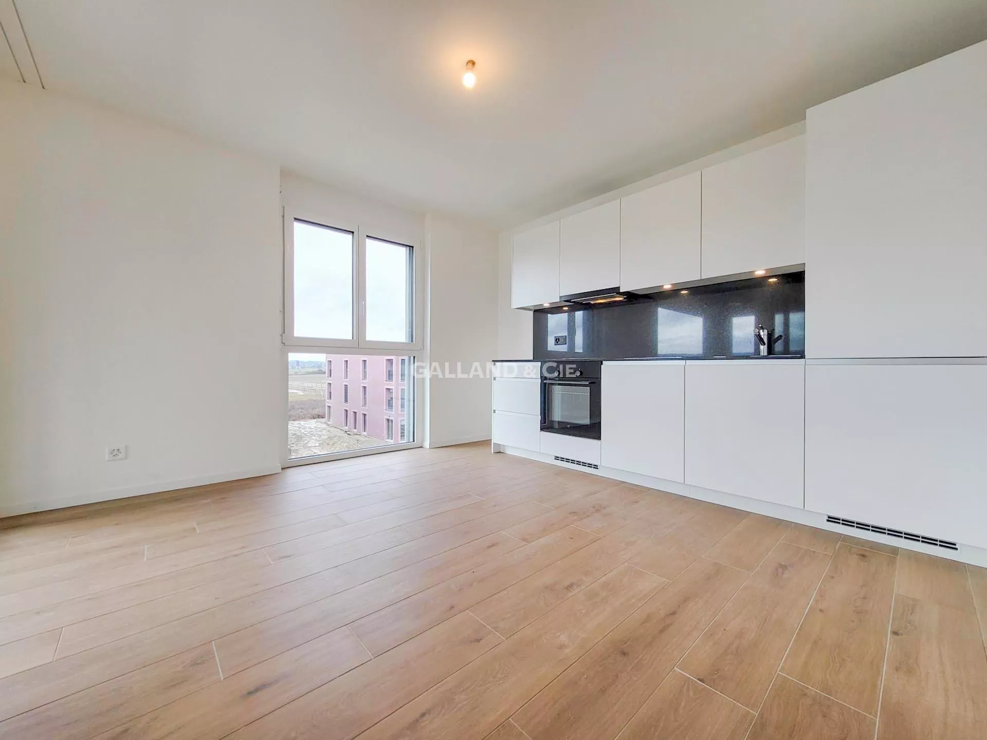 Appartement neuf au bord de la Petite-Glâne : Photo 1