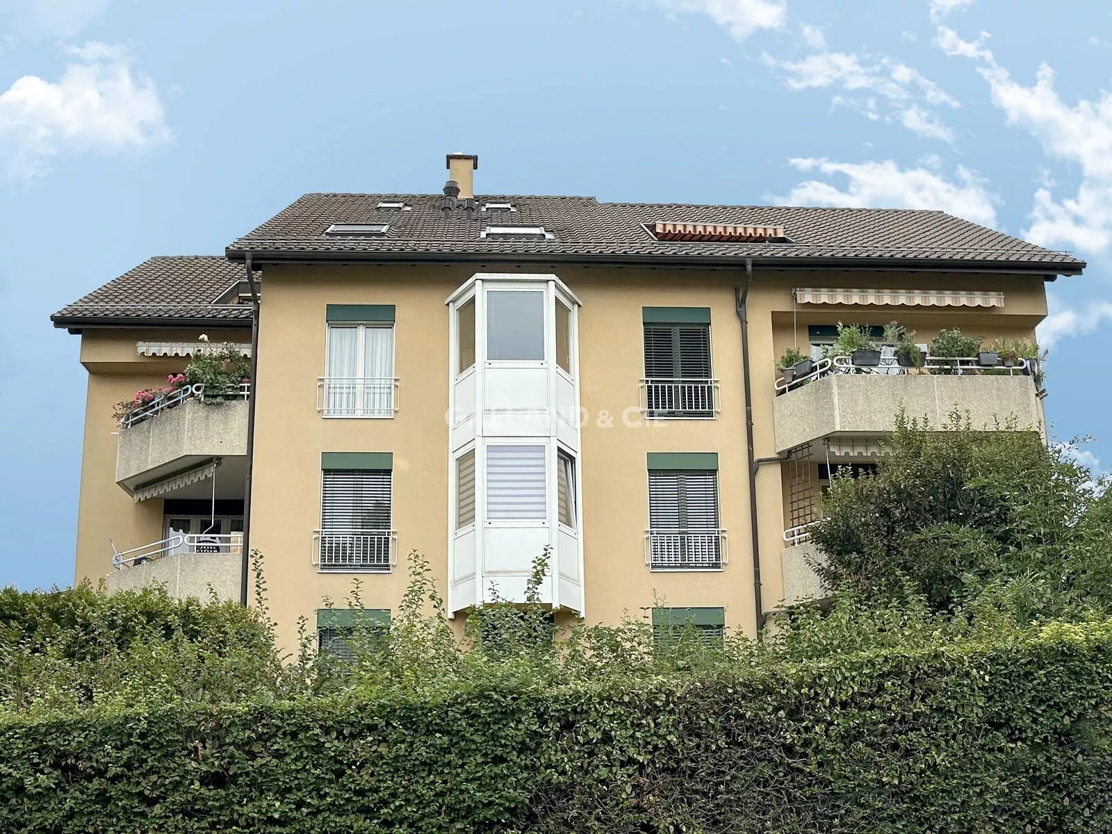 Charmant 3.5 pièces - Parfaitement situé : Photo 3