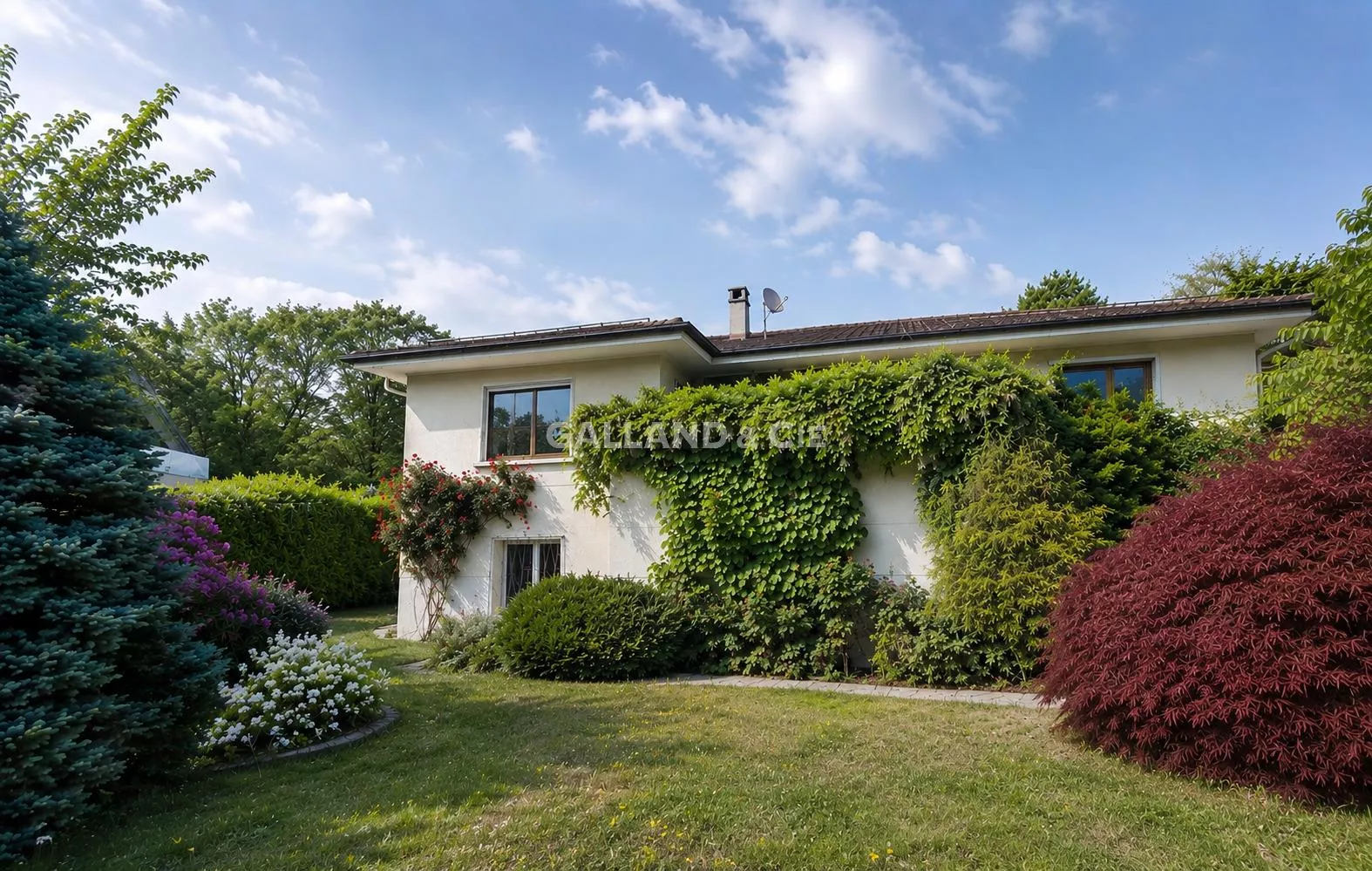 Superbe maison individuelle avec jardin arboré : Photo 1