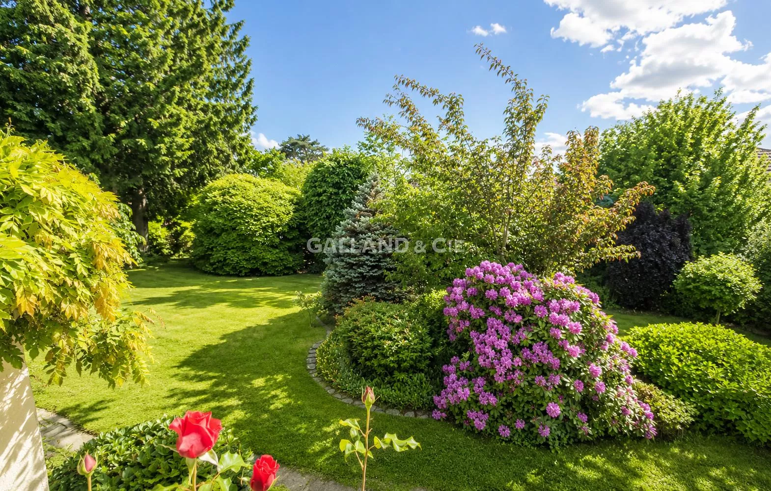 Superbe maison individuelle avec jardin arboré : Photo 7