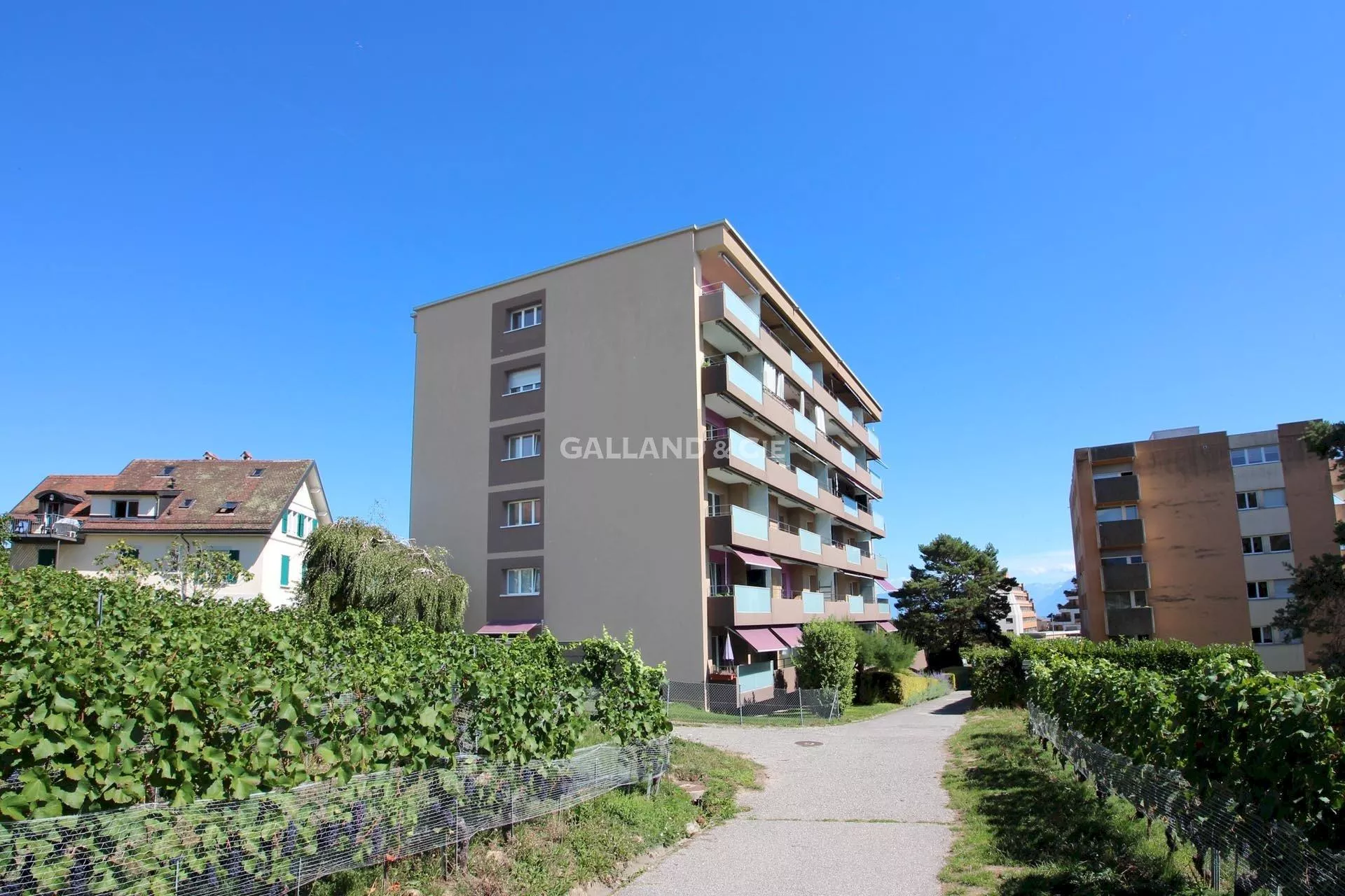 Appartement de 1 pièce entièrement rénové : Photo 1