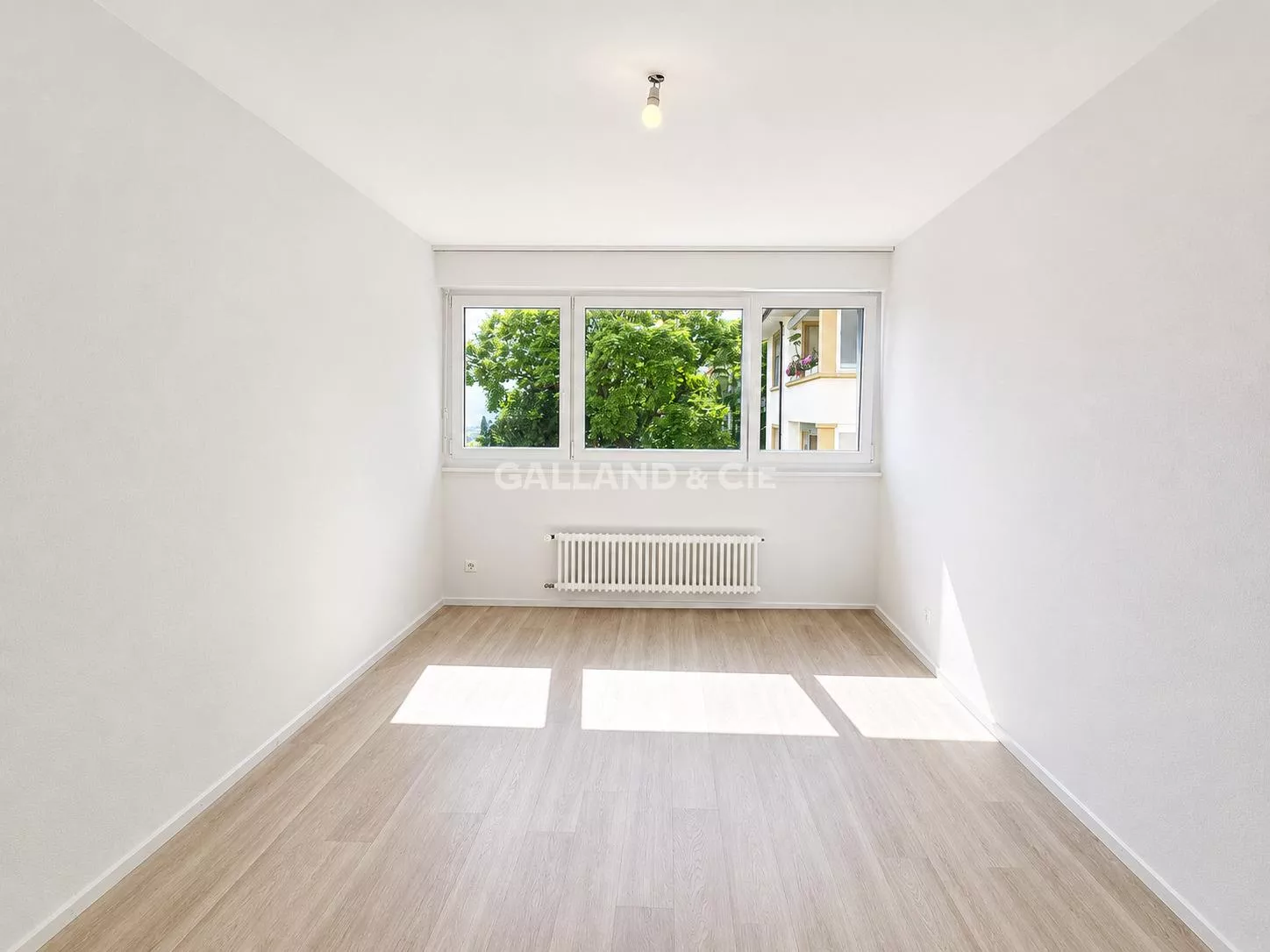 Bel appartement à 5 minutes du centre-ville : Photo 4