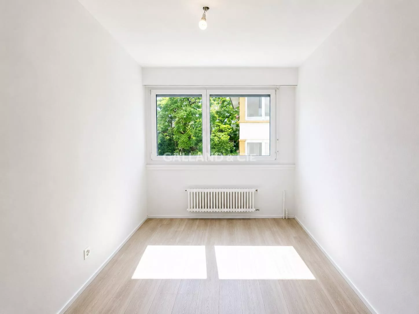 Bel appartement à 5 minutes du centre-ville : Photo 5