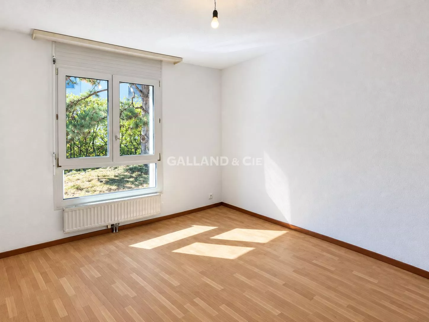 Appartement de 3.5 pièces au rez : Photo 4