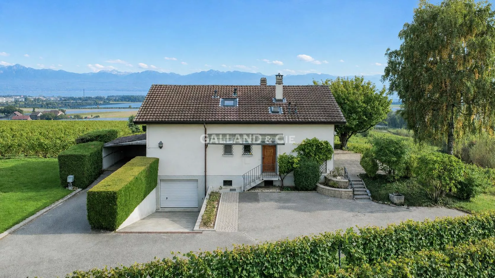 Au cœur des vignes - Villa individuelle de 6.5 pièces : Photo 1