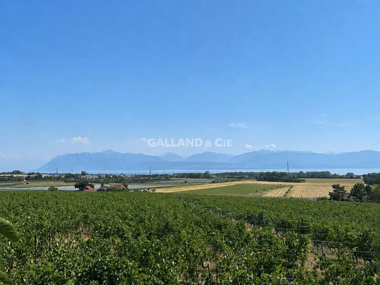 Au cœur des vignes - Villa individuelle de 6.5 pièces : Photo 4