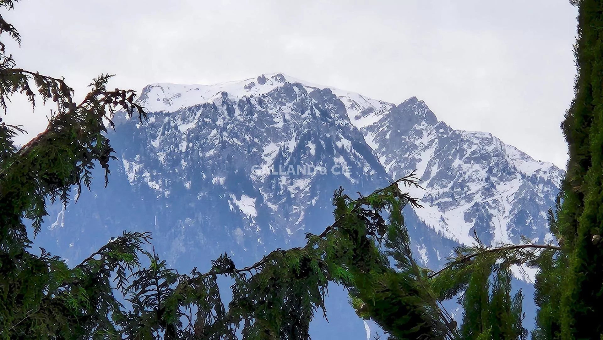 Appartement de 2½ pièces : Photo 8